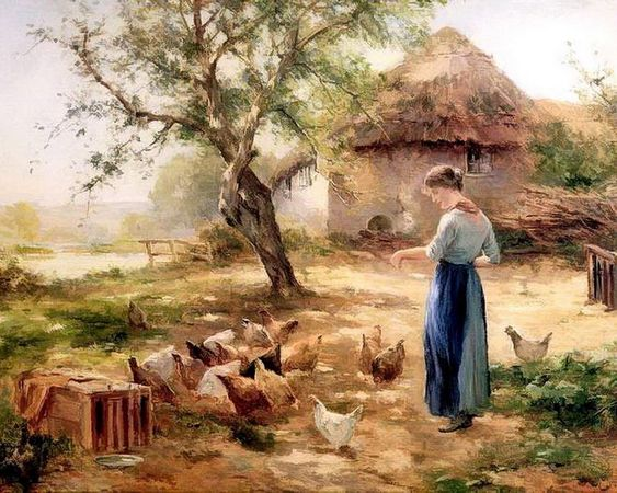 Woman Feeding Chicken